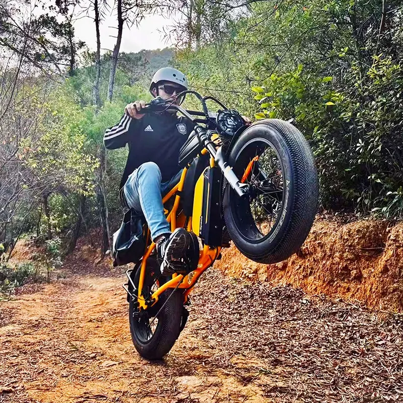 Marca Aspadz, bici elettrica fatbike Cavet Air 250W 100km autonomia