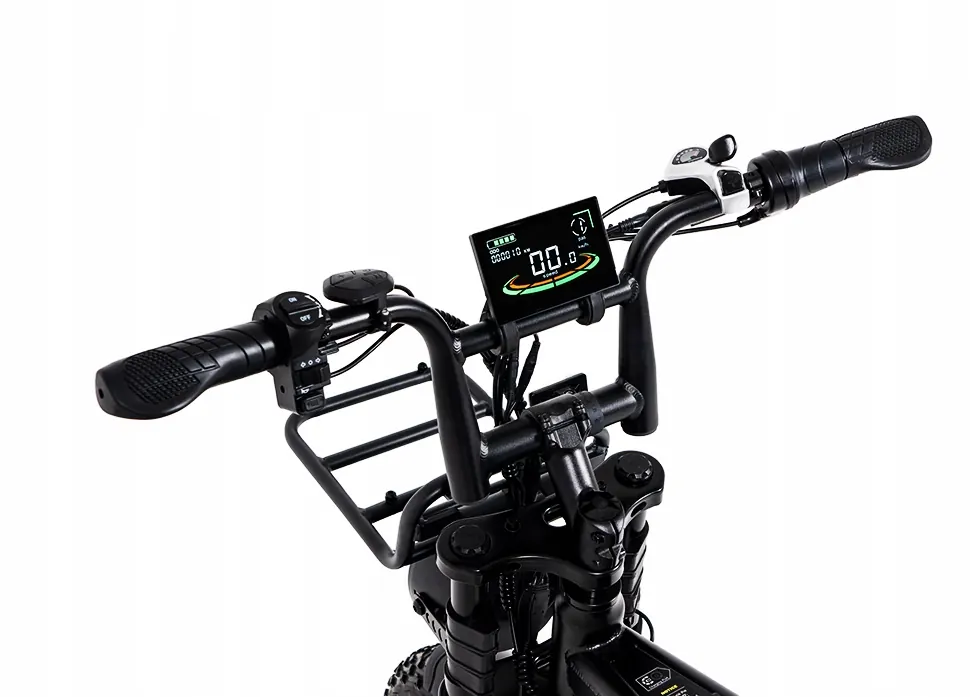 Bici elettrica Aairsk V8 Max 250W preassemblata e regolata