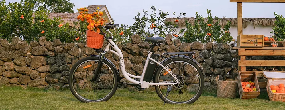 DYU C6 Bici Elettrica da Città image 15