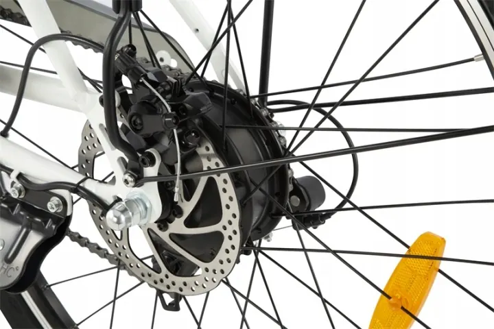 Bici elettrica DYU C6 marchio DYU con motore 250W