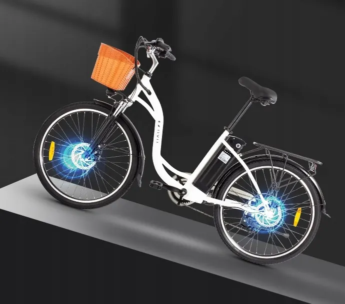 Ruota da 26 pollici per bici elettrica DYU C6
