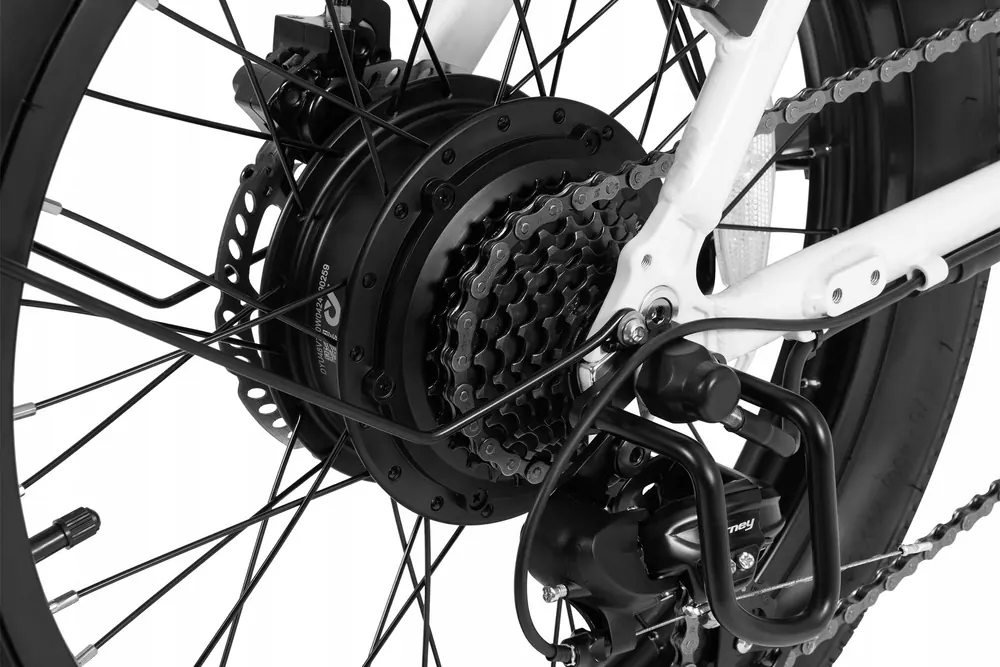 DYU C9 Bici Elettrica Pieghevole image 12