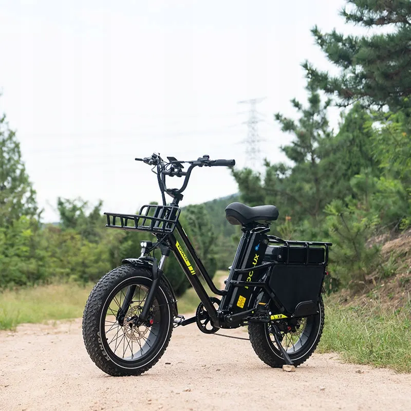 E-MOTO 20" E-Bike Elettrica 1000W image 5