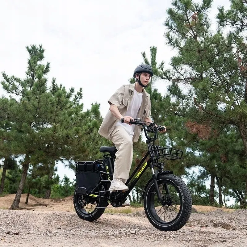Motore da 750 W della bici elettrica Koolux X8 con freno a olio