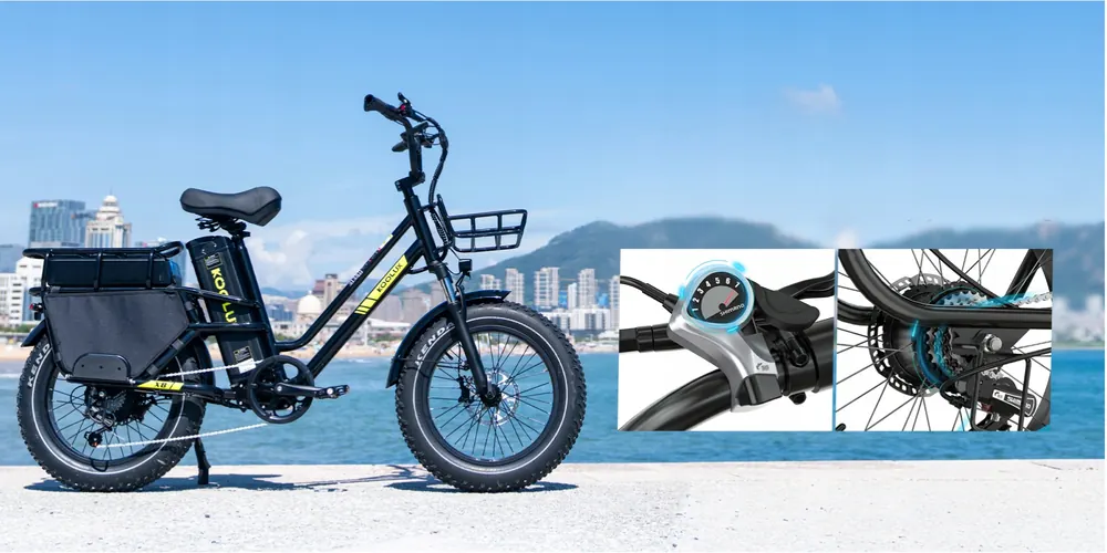 Bici elettrica KOOLUX 20 pollici 1000W unisex con freni a olio