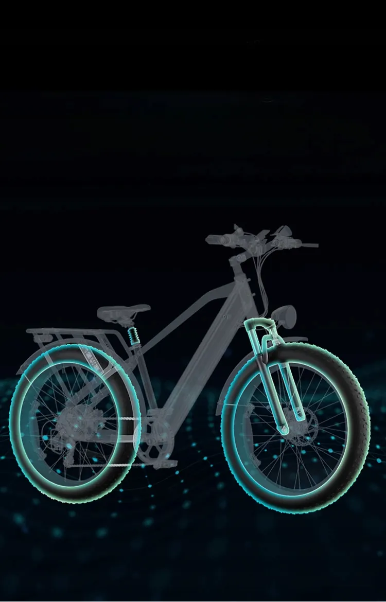 ENGWE E26 Bici Elettrica All-Terrain image 9