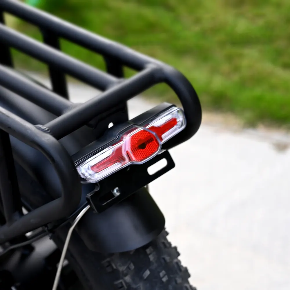 ENGWE ENGINE X bici elettrica 250W potenza nominale