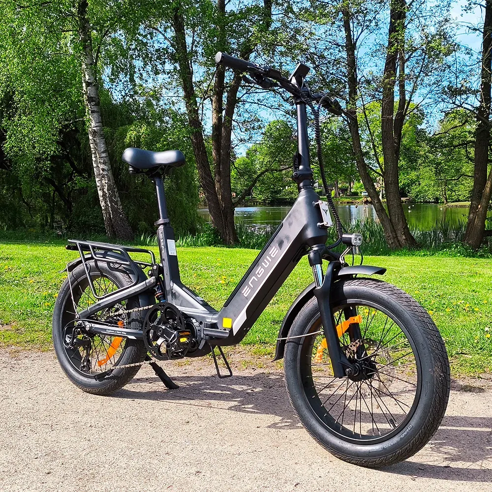 ENGWE L20 3.0 Pro Bici Elettrica Pieghevole image 2