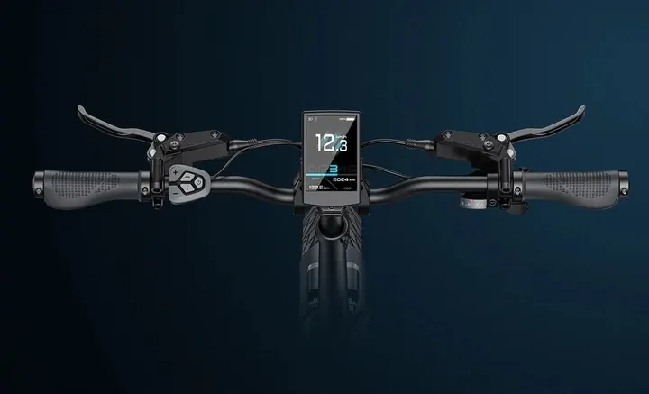 ENGWE L20 3.0 Pro Bici Elettrica Pieghevole image 9