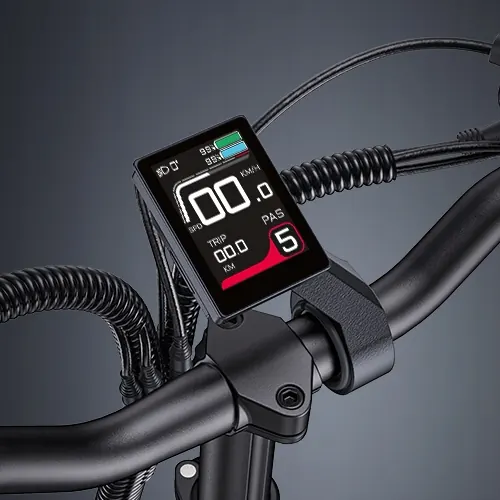 ENGWE LE20 Cargo Elettrica Doppia Batteria image 15