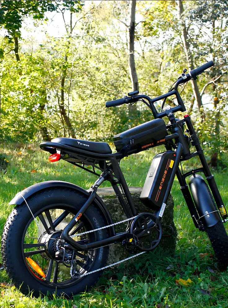 ENGWE M20 Bici Elettrica Dual Battery image 2