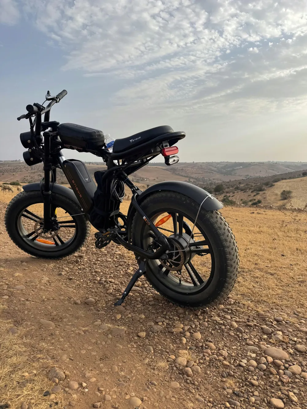 ENGWE M20 Bici Elettrica Dual Battery image 4