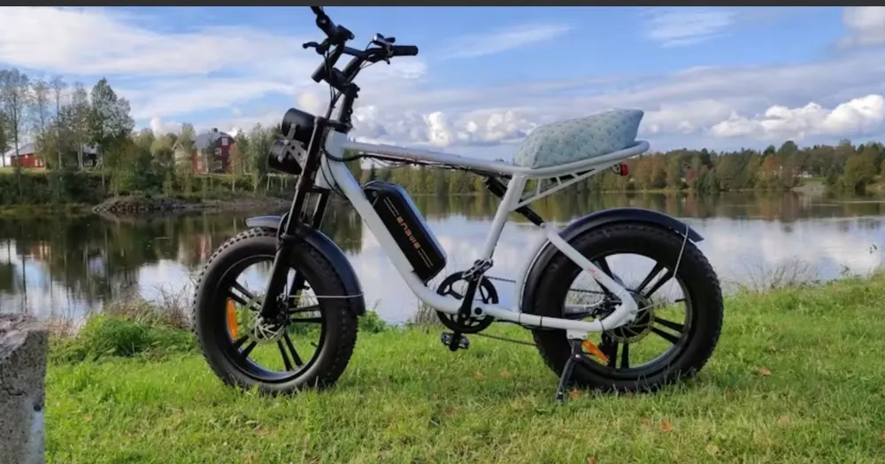 ENGWE M20 Fat Tire Electric Bike image 9