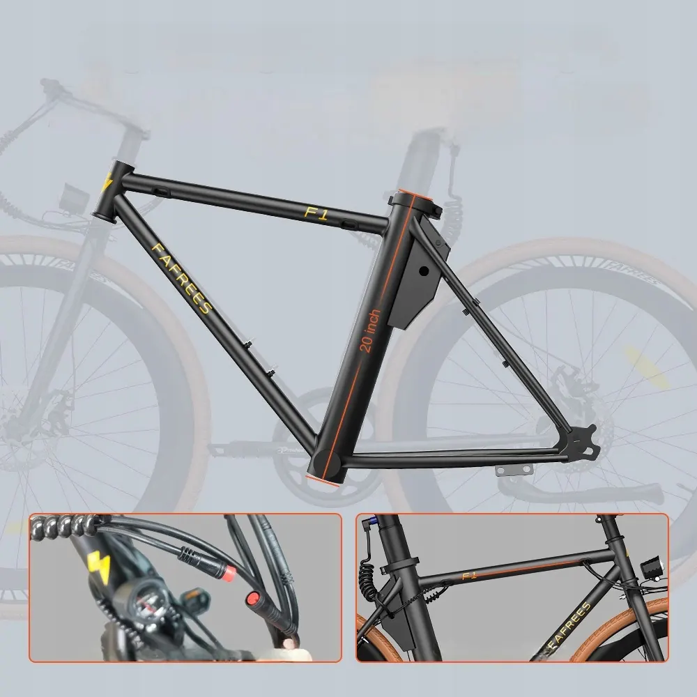 Motore da 250 W della bici elettrica FAFREES F1