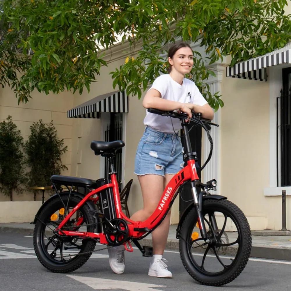 FAFREES F20 Bici Elettrica Pieghevole Fat image 13