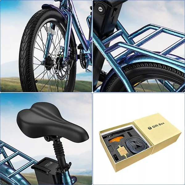 Carico massimo 120 kg per la bici elettrica FAFREES F20