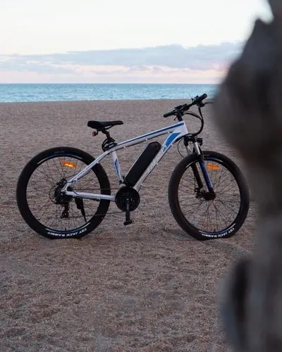 FAFREES F28 E-MTB 27.5" 250W image 3
