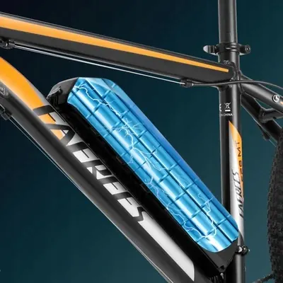 Modello Fafrees F28 MT 250W 36V14.5Ah 110km MTB