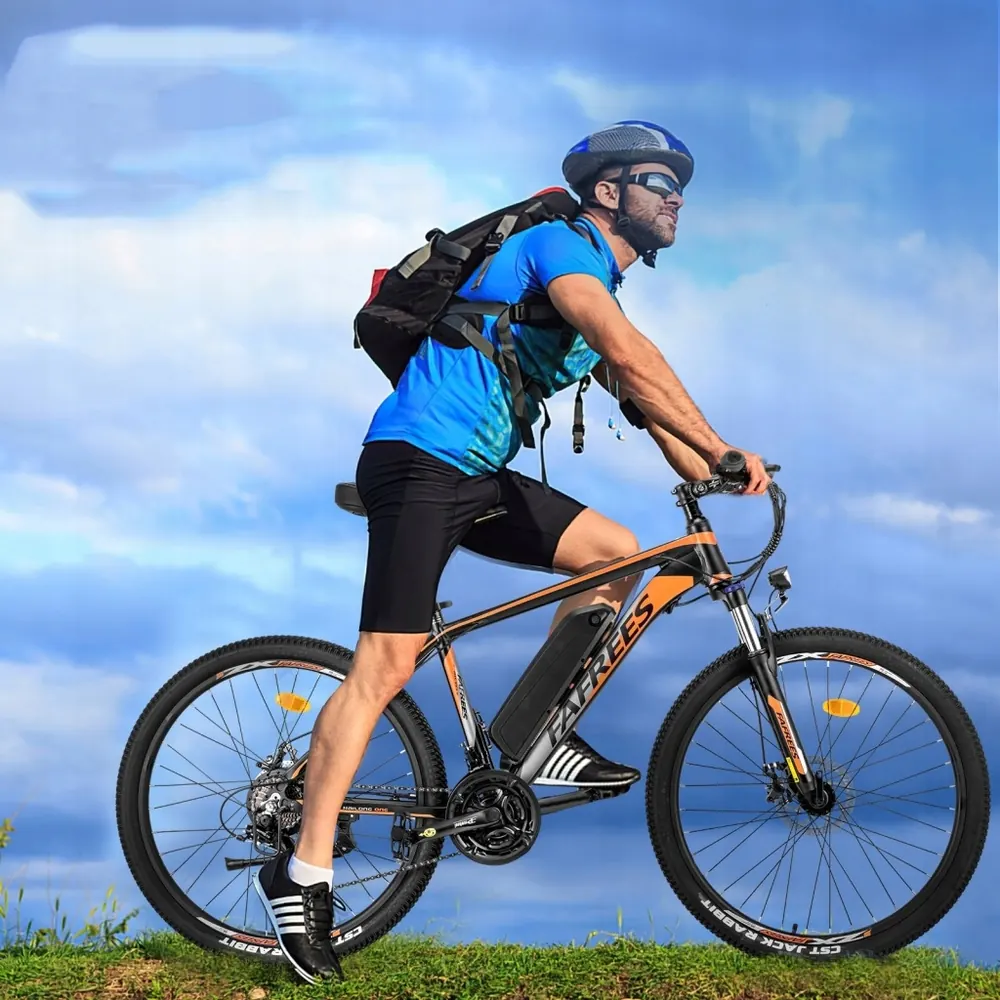 FAFREES Hailong One E-MTB 26" image 15