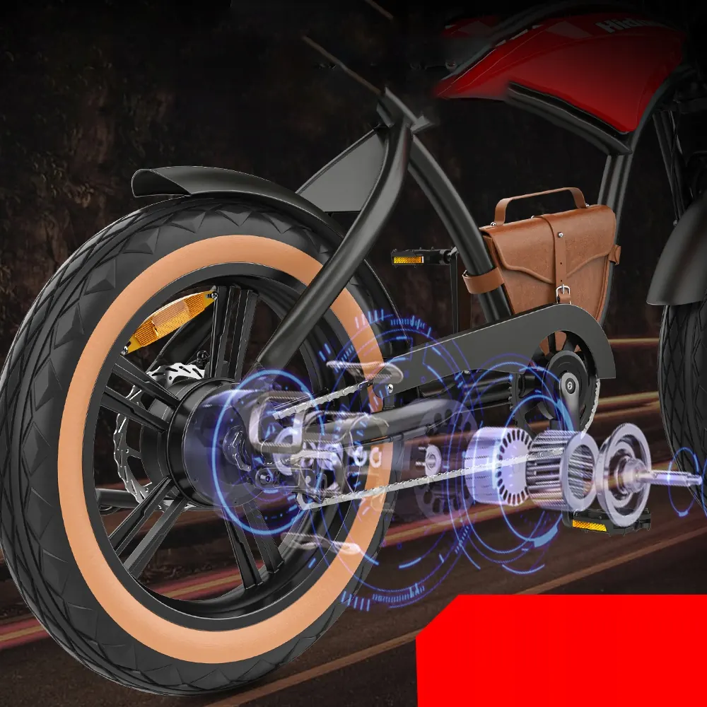 HIDOES B10 E-Bike Fat Tire image 14