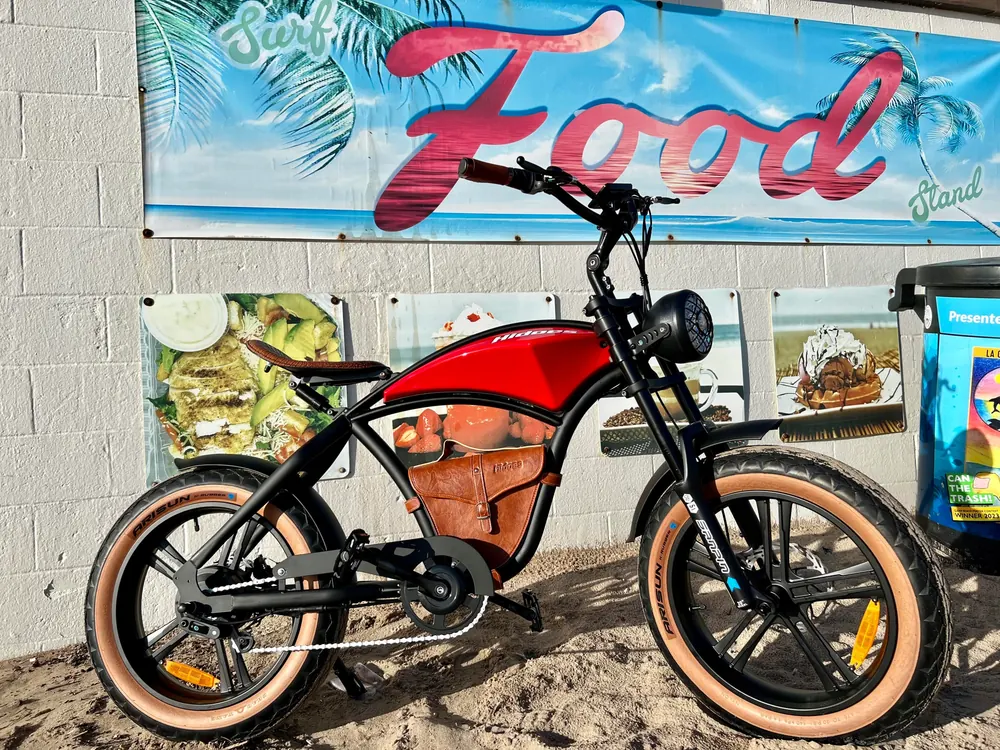 HIDOES B10 E-Bike Fat Tire image 2