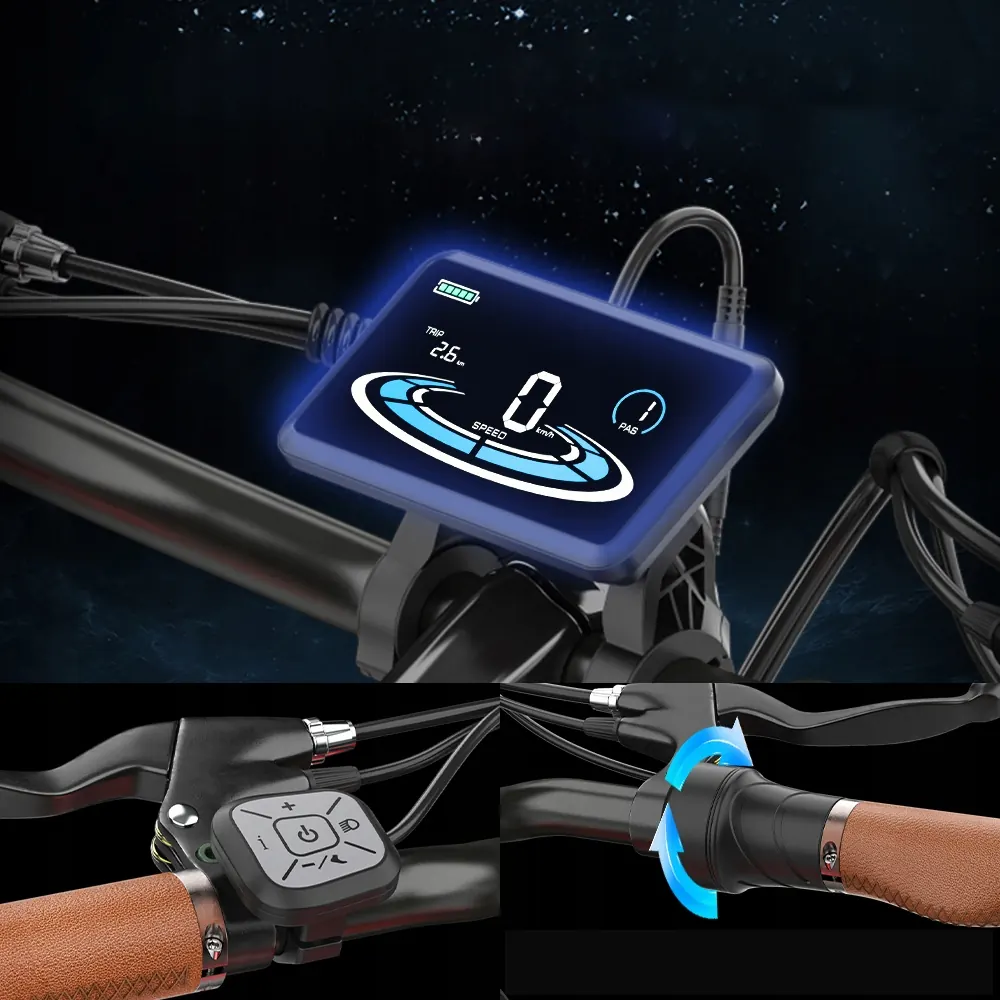 HIDOES B10 E-Bike Fat Tire image 6