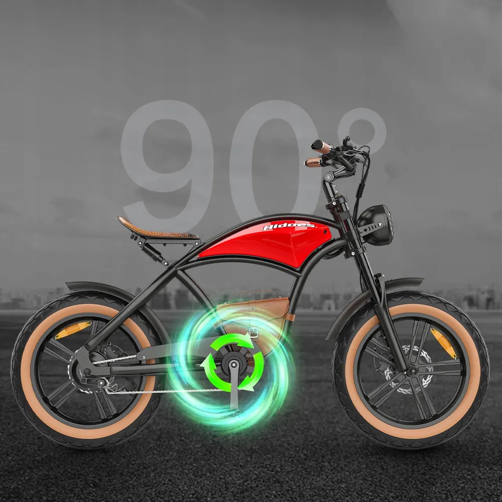 HIDOES B10 E-Bike Fat Tire image 7