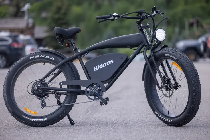 HIDOES B3 Fat Tire E-Bike image 4