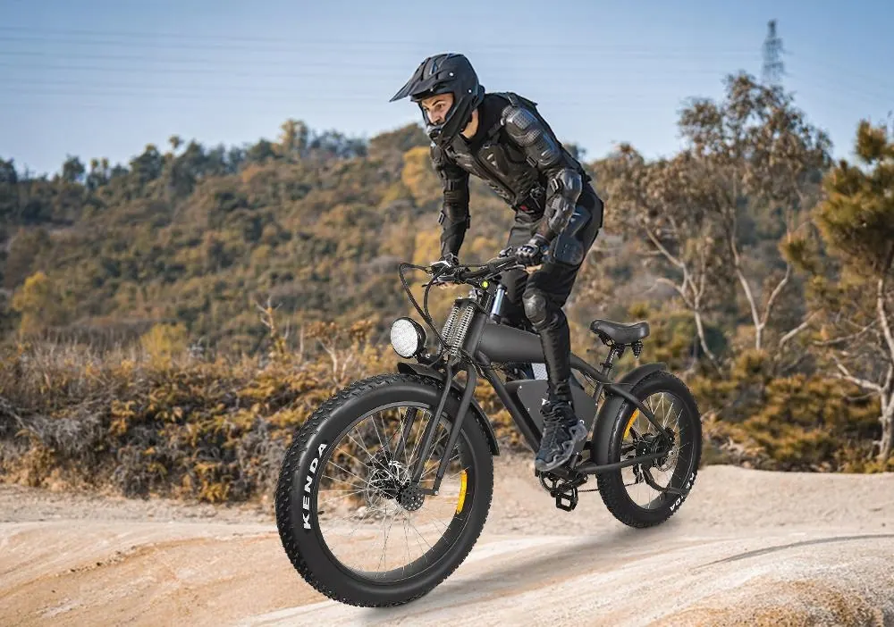 HIDOES B3 Fat Tire E-Bike image 5