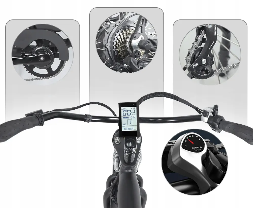 Ruote da 26 pollici della bici elettrica HIDOES B3 Fat Tire