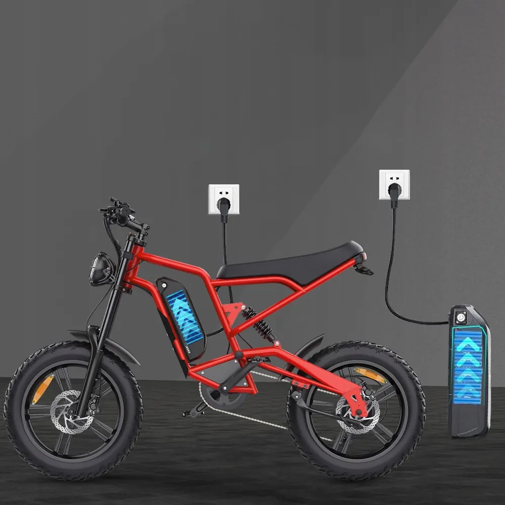 E-bike Hidoes B6 con telaio da 20 pollici e batteria 48V 15Ah