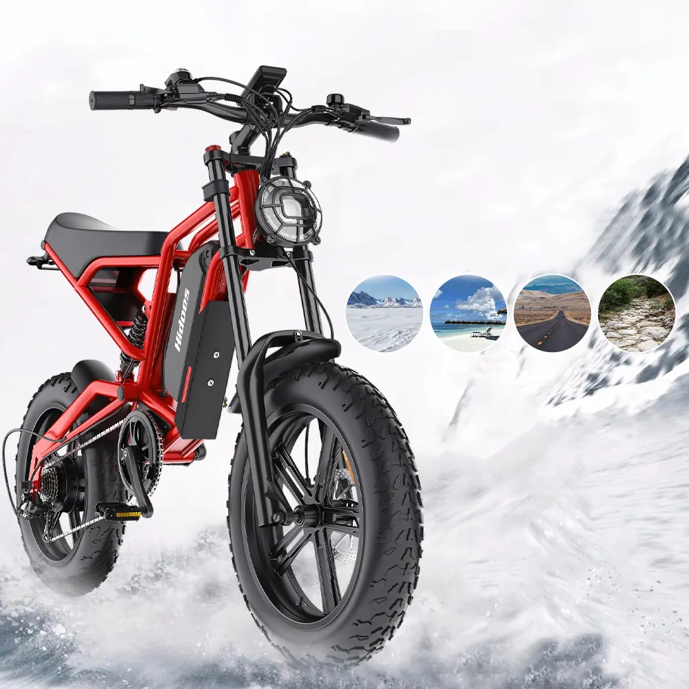 Motore 1200W della bicicletta elettrica Hidoes B6 48V 15Ah