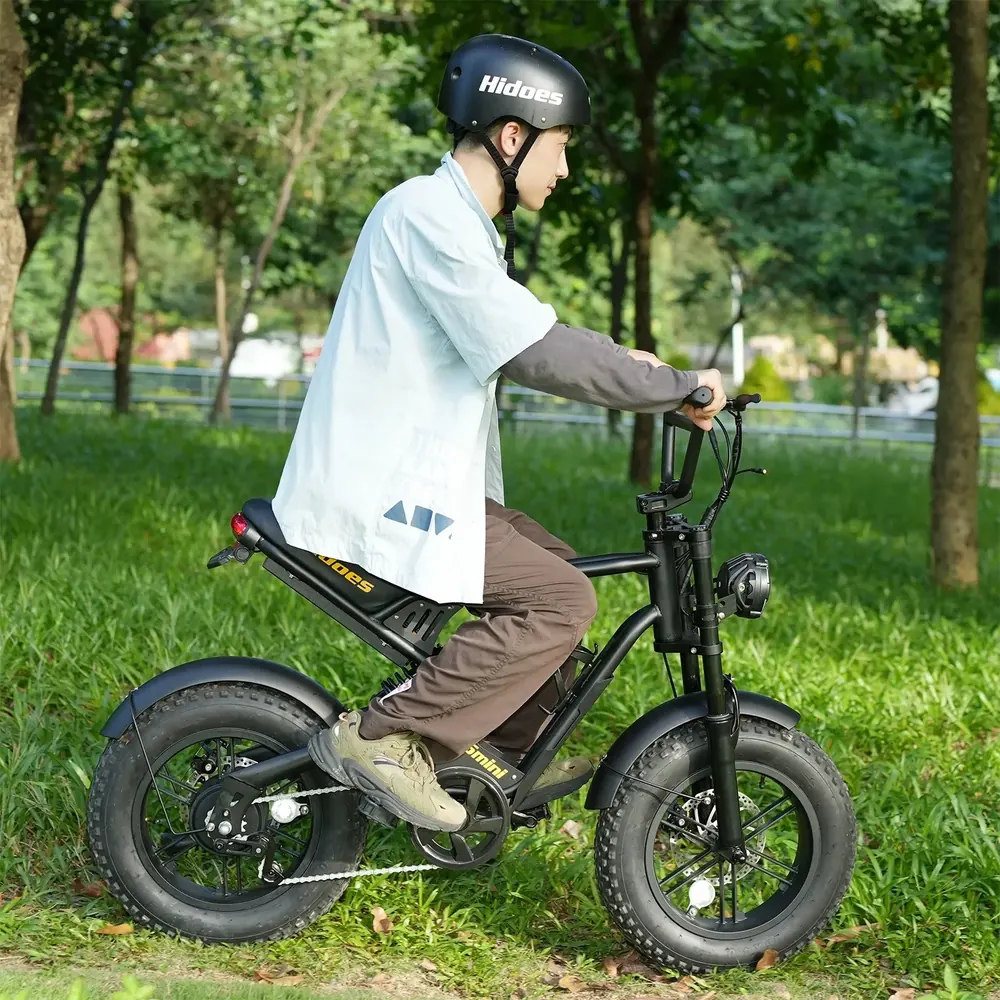Bici elettrica Hidoes B6MINI 500W con batteria 48V10.4Ah e ruote 16x4.0
