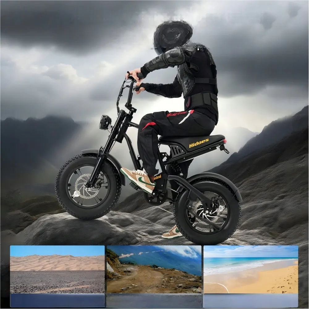 Bici elettrica Hidoes B6MINI in colore nero con pneumatici 16x4.0