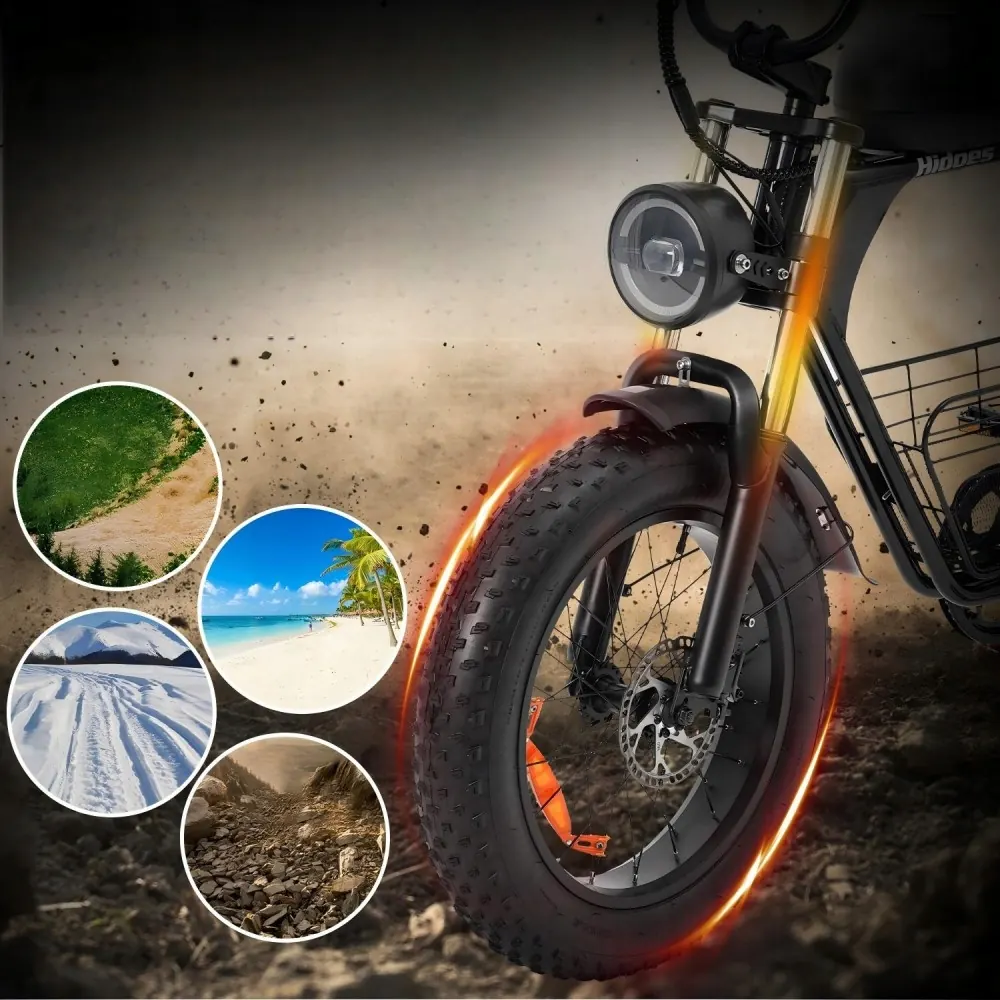HIDOES B9 Fat Bike Elettrica image 12