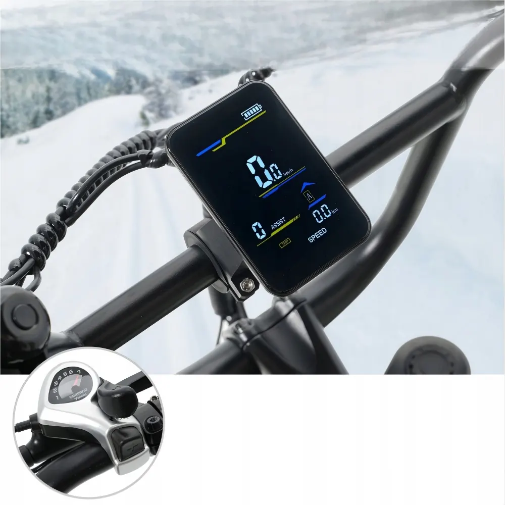 HIDOES B9 Fat Bike Elettrica image 5