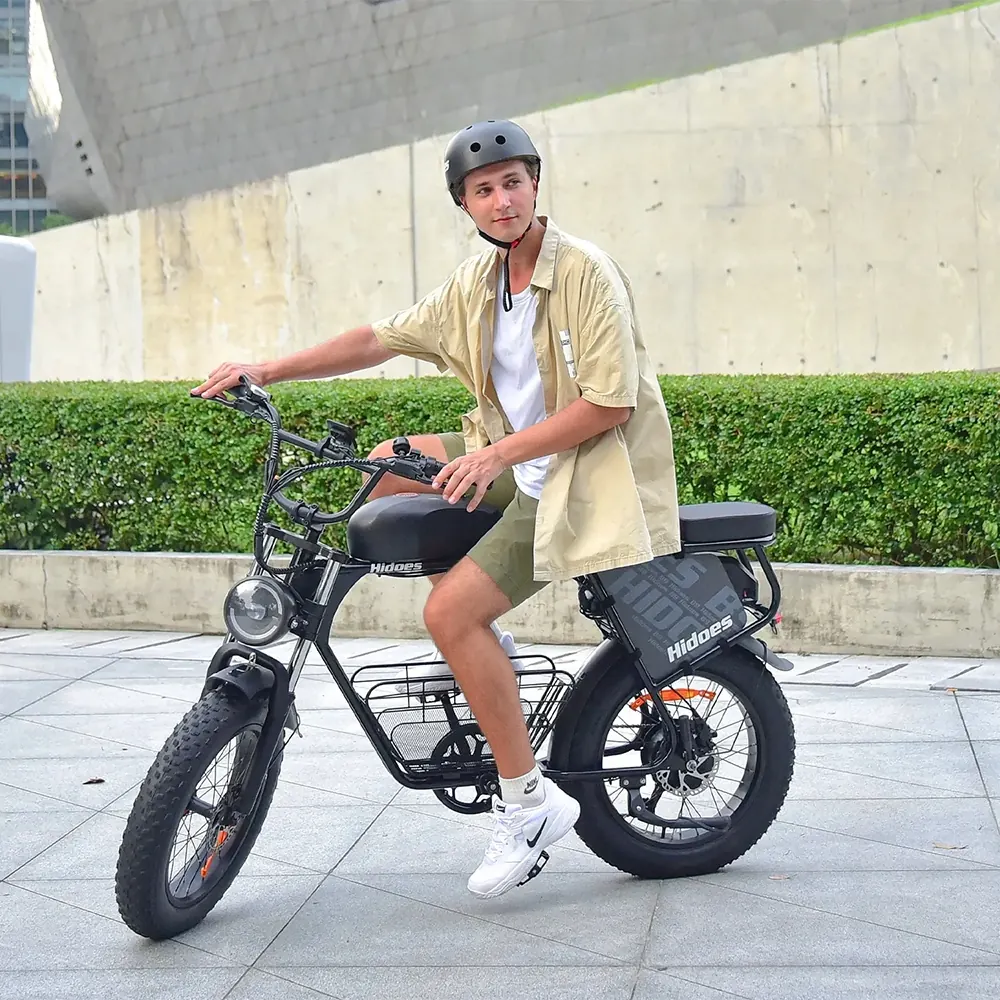 Bici elettrica Hidoes B9 con telaio in alluminio e ruote grasse 20 pollici
