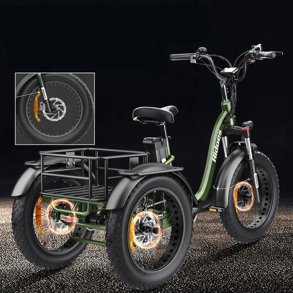 Ruota da 20 pollici della bici elettrica Hidoes HD-ET1 750W