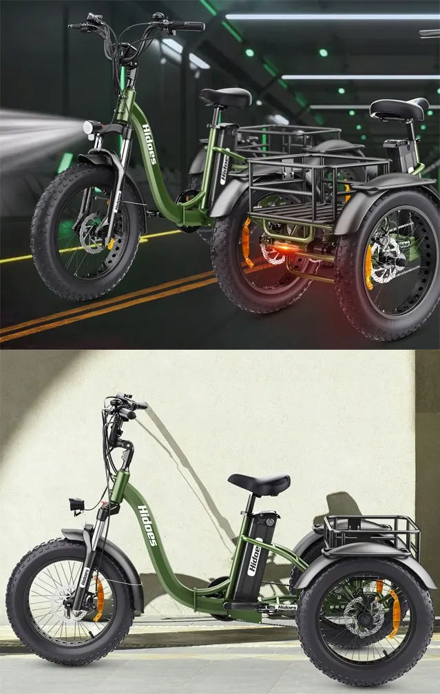 Telaio della bici elettrica Hidoes HD-ET1 adatto a utenti 160-210cm