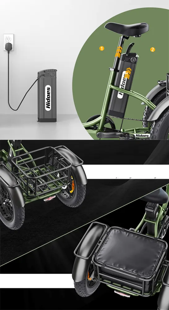 Bici elettrica Hidoes HD-ET1 750W in colore verde brillante