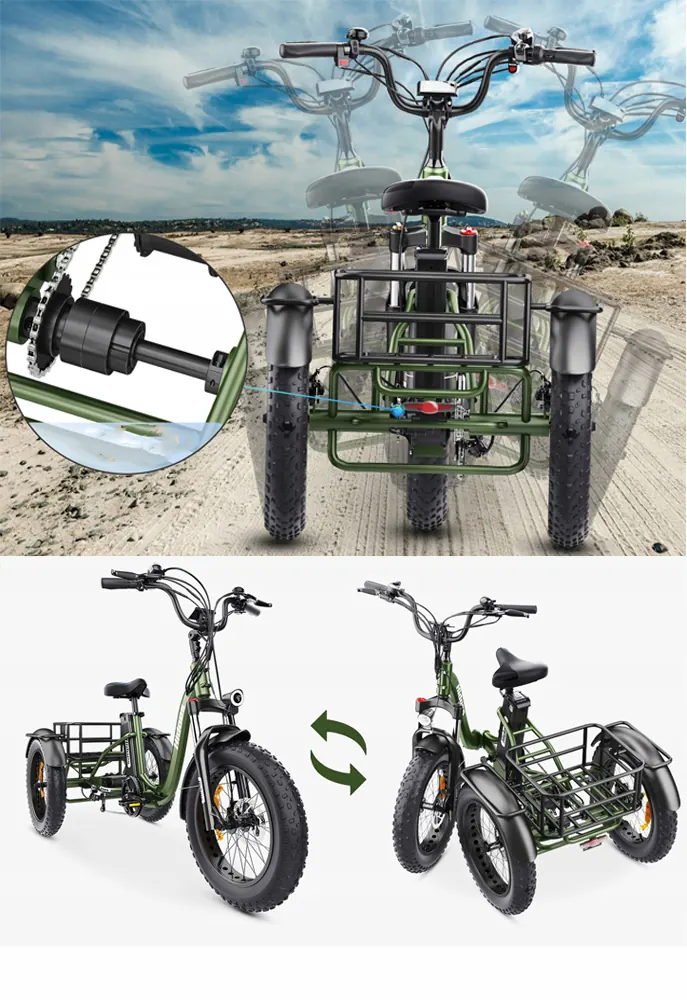 Telaio in alluminio della bici elettrica Hidoes HD-ET1 750W 48V20Ah
