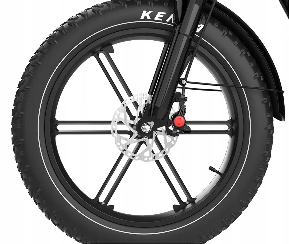 Motore da 750W della bici elettrica KOOLUX X9 PRO