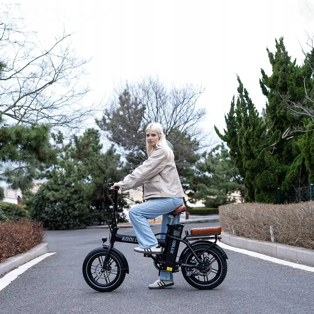 KOOLUX X10 Bici Elettrica Pieghevole image 13