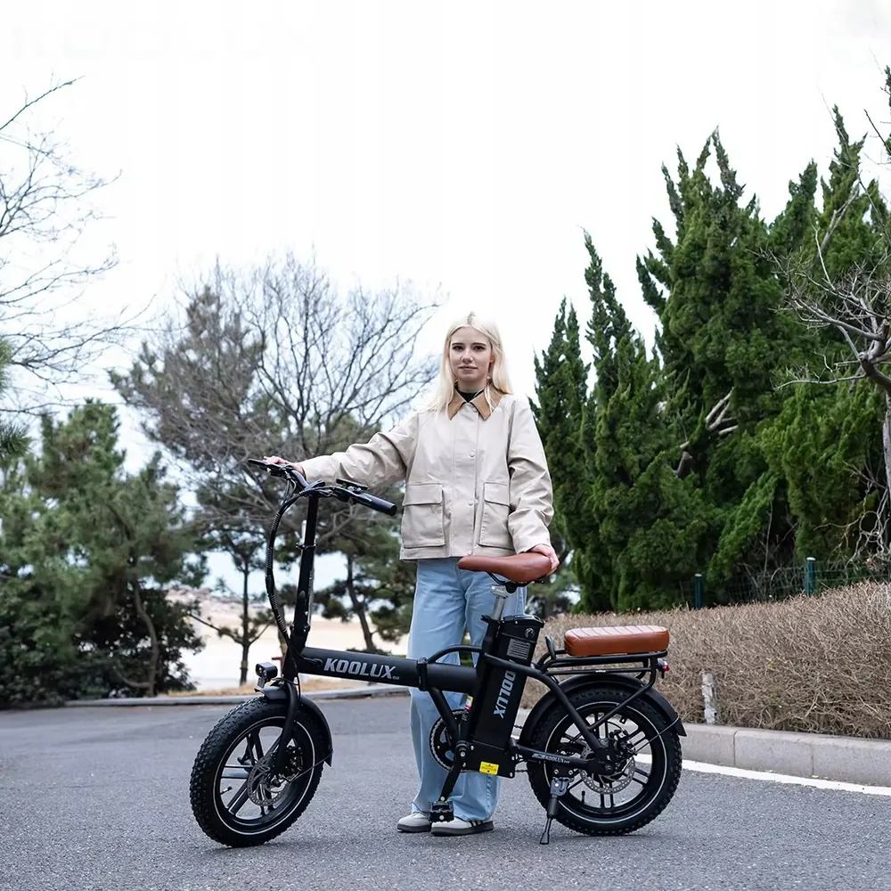 Batteria agli ioni di litio rimovibile per bici elettrica KOOLUX X10