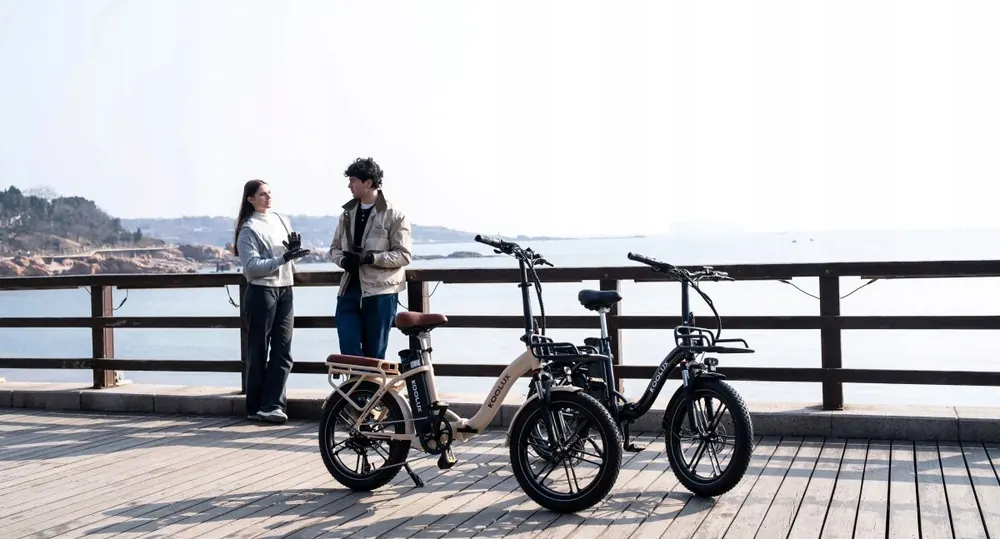 KOOLUX X16 con batteria inclusa, bici elettrica pieghevole 20 pollici