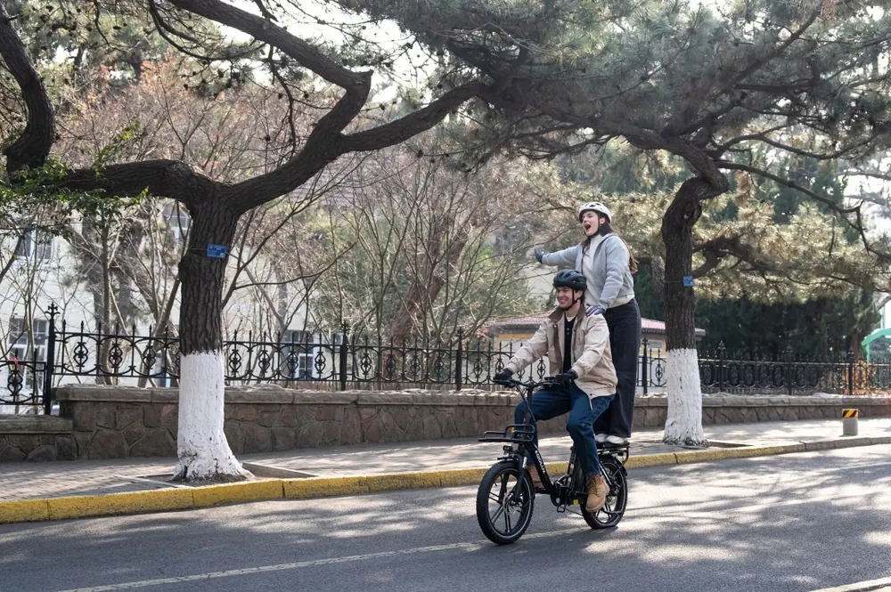 Bici elettrica pieghevole KOOLUX X16 unisex, adatta a tutti
