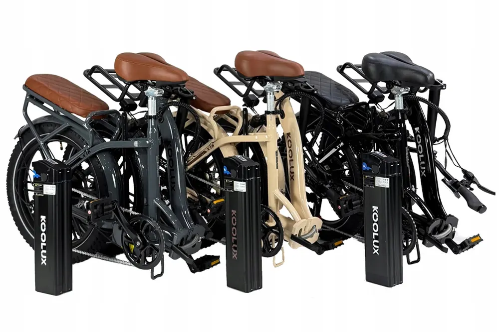 Telaio 20 pollici della bici elettrica pieghevole KOOLUX X16