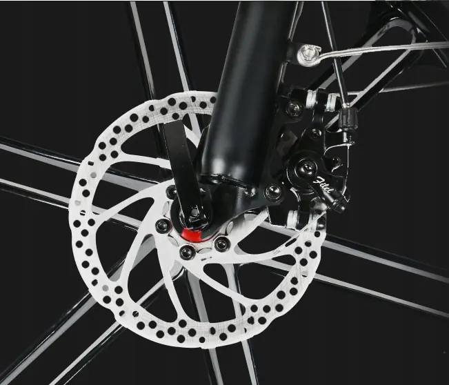 Modello 20LVXD30-II della bici elettrica pieghevole SAMEBIKE