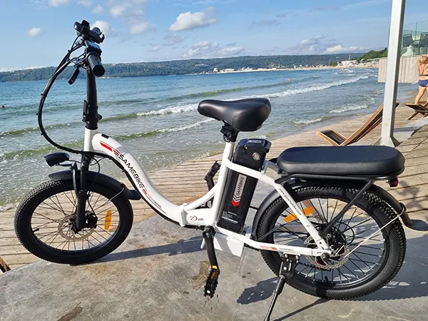 SAMEBIKE CY20 bici elettrica 250W potenza nominale