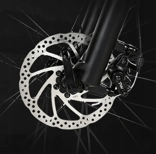 Motore da 900W della bici elettrica SAMEBIKE LO26-II-FT-YD per potenza e accelerazione.